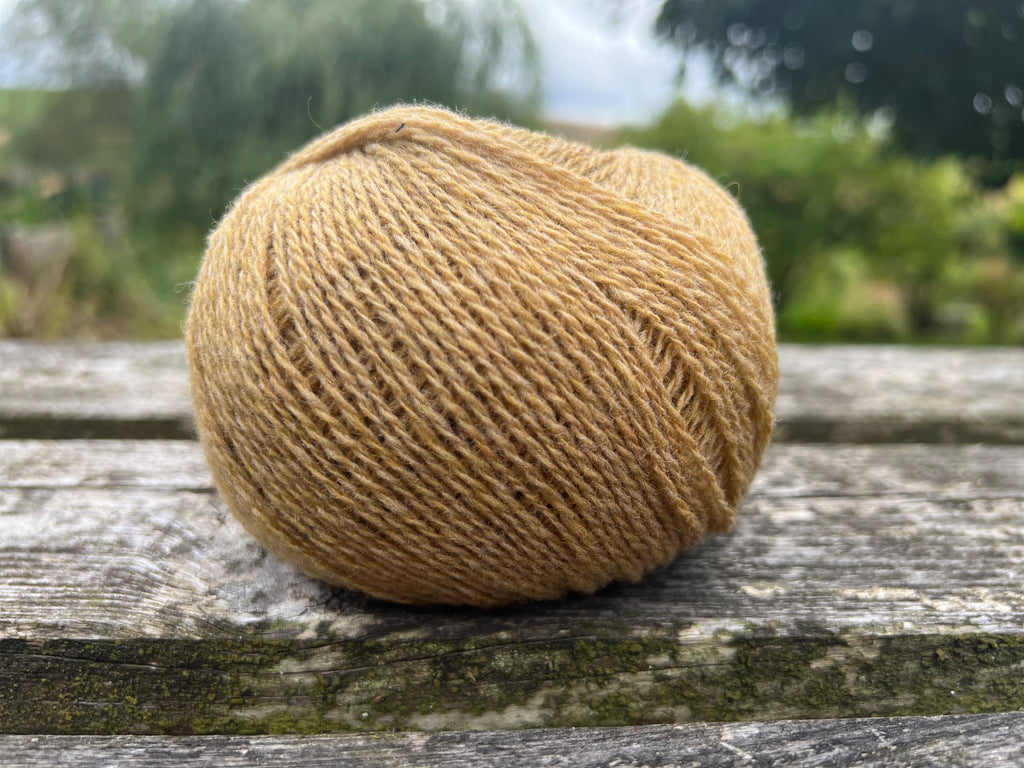 Supersoft 4ply - Autumn Crisp 922