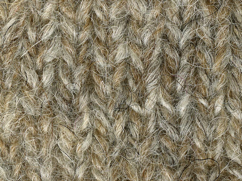 Shetland Freedom - Colbred 022