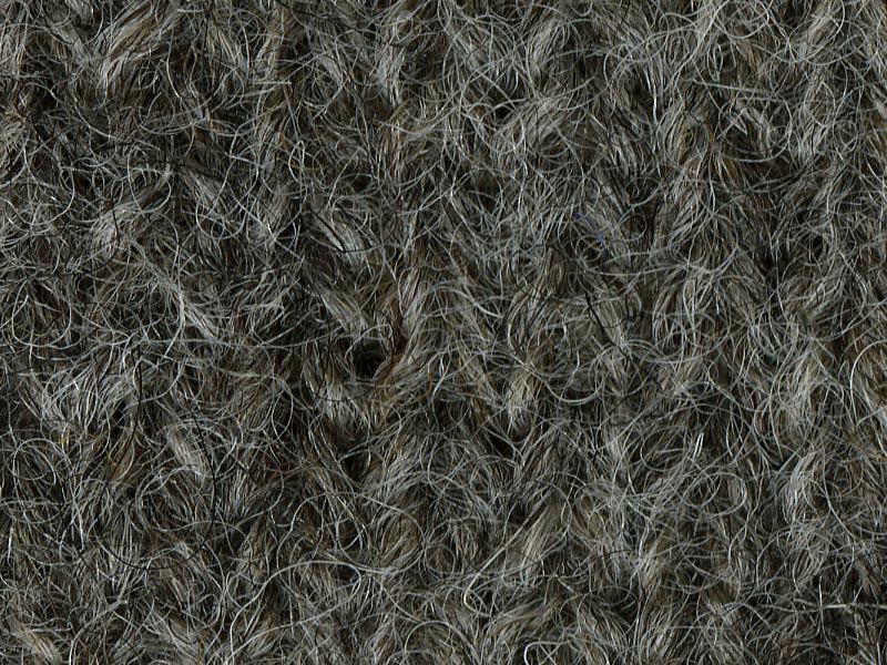 Shetland Freedom - Dalesbred 003