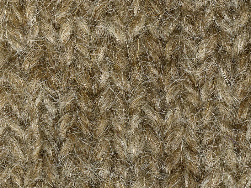 Shetland Freedom - Ryeland 004